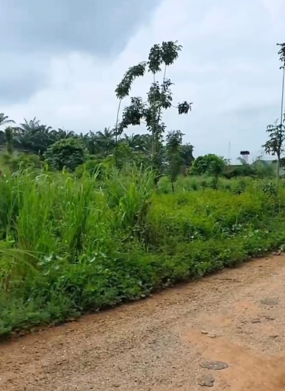 ONE PLOT OF LAND OPPOSITE NIGERCAT CONSTRUCTION COMPANY - For Sale in ENUGU-ONITSHA EXPRESSWAY, Anambra