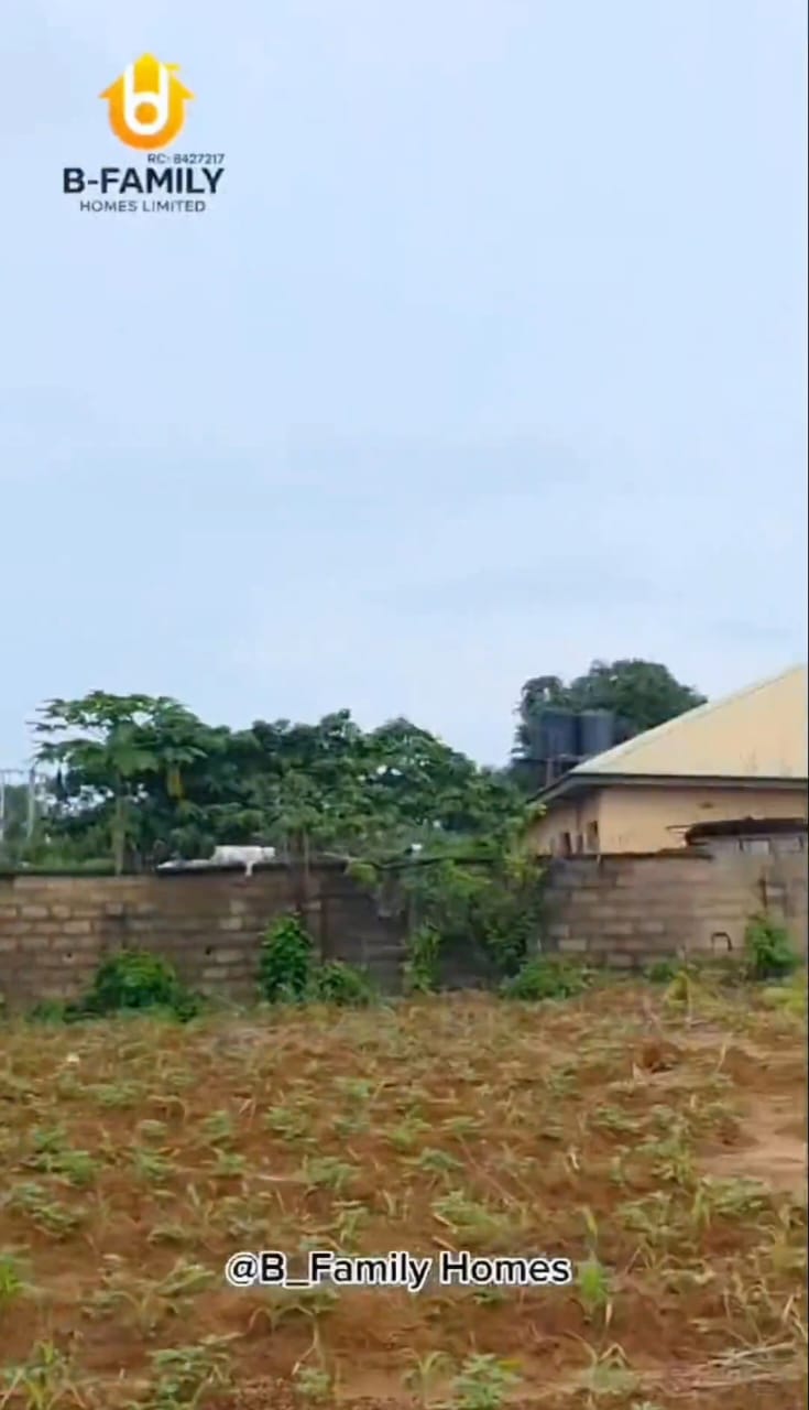 TWO PLOTS OF LAND ALONG CHUKWUEMEKA ODUMEGWU OJUKWU UNIVERSITY, OTOKO, IGBARIAM ROAD - For Sale in ALONG CHUKWUEMEKA ODUMEGWU OJUKWU UNIVERSITY, ROAD IGBARIAM, Anambra